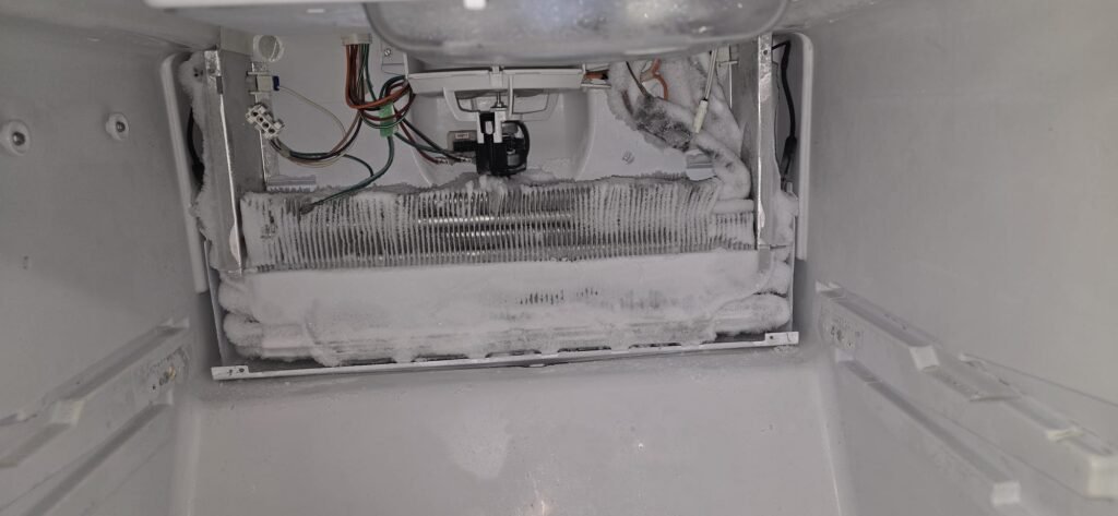 Fridge defrost. Before